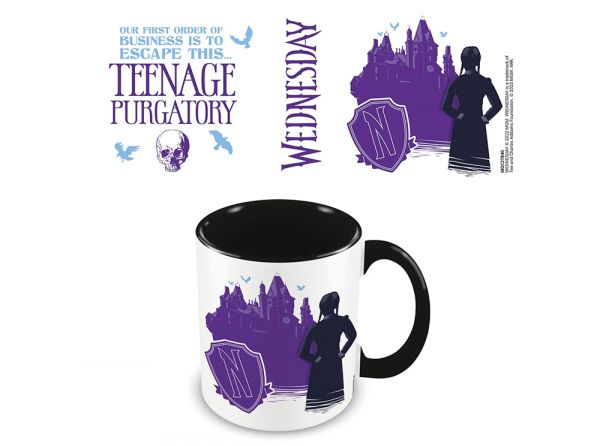 Wednesday boxed mug