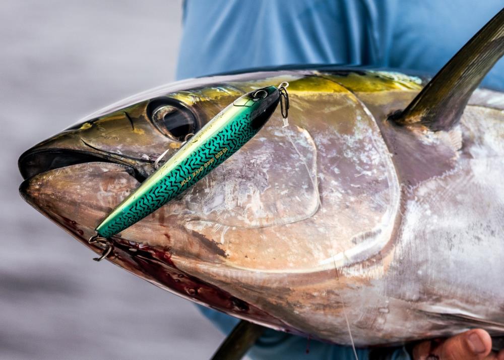 Fishing Gear