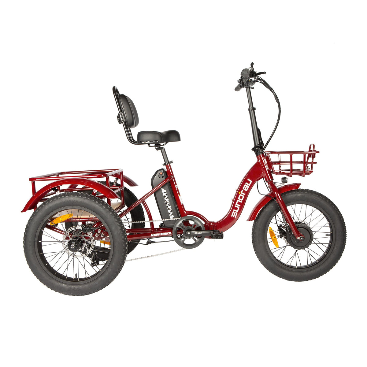 NEW-TRIKE 2.0-1