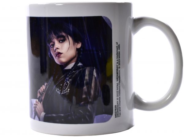 Wednesday Darkside Boxed 11 Oz Mug - Wednesday official licensed merchandise