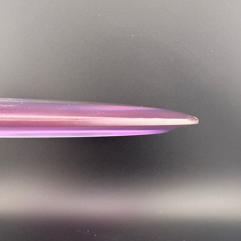 Champion Valkyrie (Penned) - F2 - Lightweight-10
