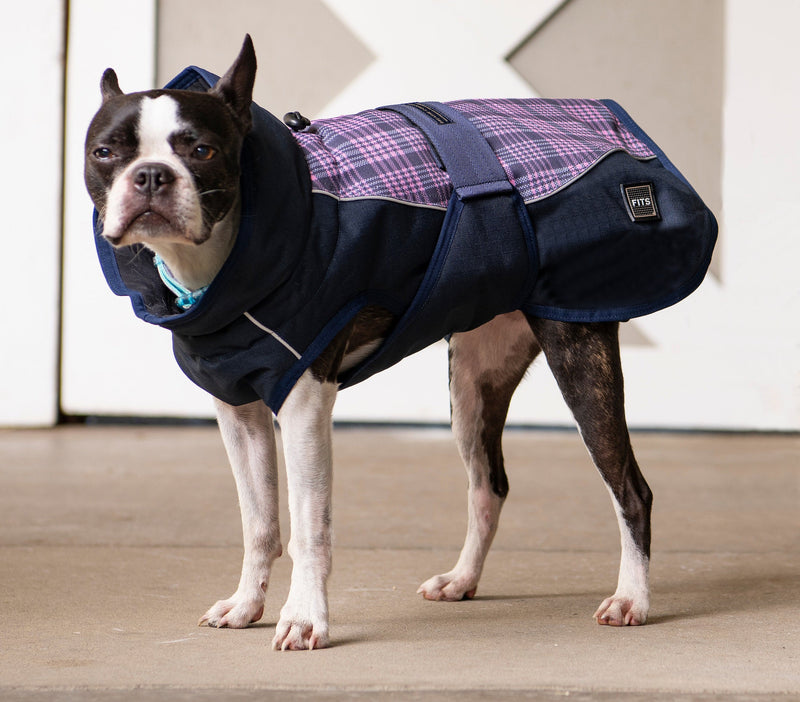 All Weather Dog Coat-3