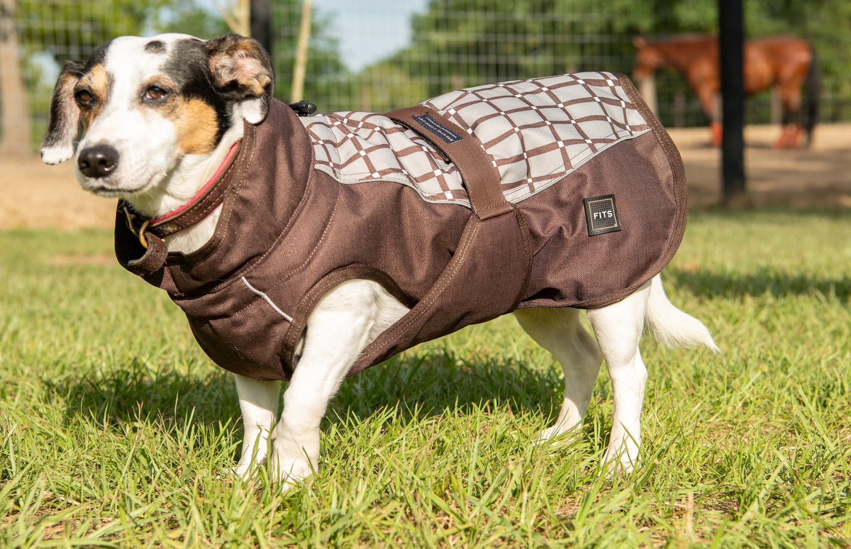 All Weather Dog Coat-5