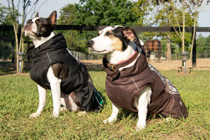 All Weather Dog Coat-4