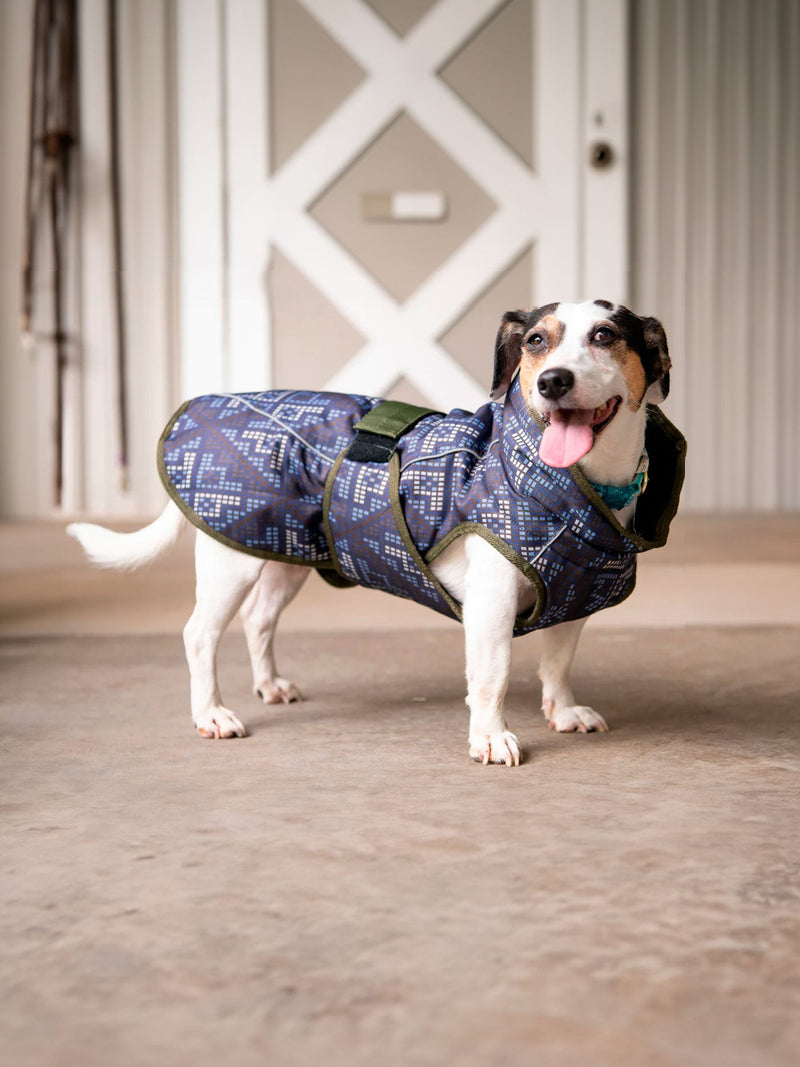 All Weather Dog Coat-2
