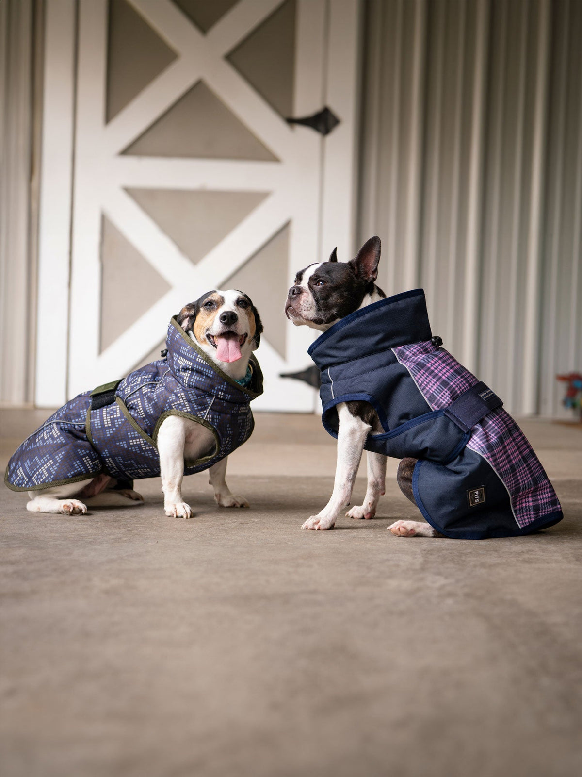 All Weather Dog Coat-1