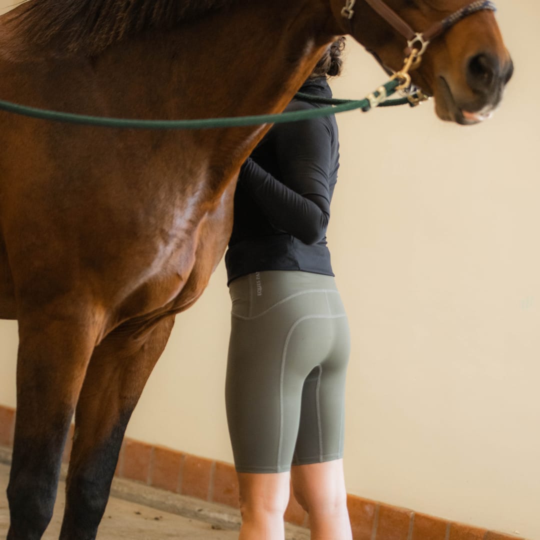 Equestrian Underwear - Knee Length-11