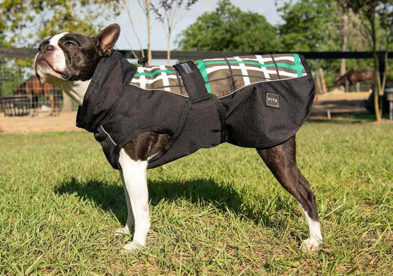 All Weather Dog Coat-6